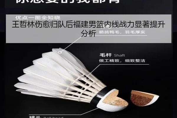 王哲林伤愈归队后福建男篮内线战力显著提升分析